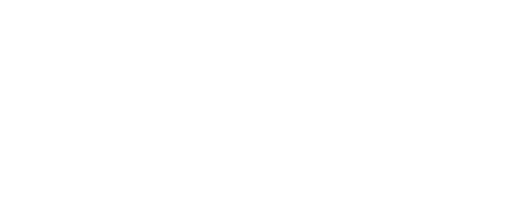 Gyrus